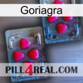 Goriagra 14